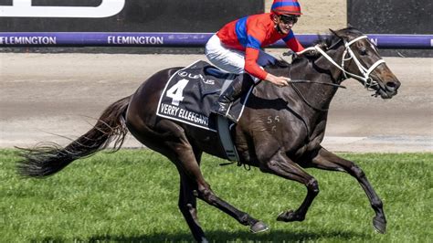 ozzie kheir net worth|Ozzie Kheir: Melbourne Cup winners complete $55 .